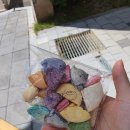 순순(soonsoon) 이미지