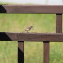 기쁨뜰근린공원 이미지