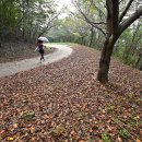 서해랑길 79코스 이미지