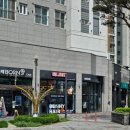 버니헤어 안양본점