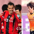 제주의 이유 이미지