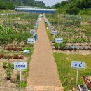 내동면시민텃밭 이미지