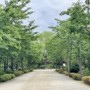 나무고아원 이미지