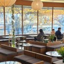 안양 우편집중국 앞 | 범계역 브런치맛집 버터비버 범계본점 내돈내산 후기