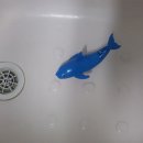 고래의꿈 이미지