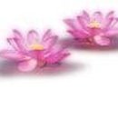 칠성고등학교 이미지