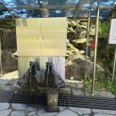 로터스모텔 이미지