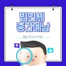 혜안세무회계사무소