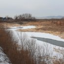 중선포천 이미지