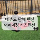 어메이징 키즈펜션 이미지