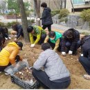 조원2동행정복지센터 이미지