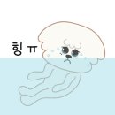 티나케이크(tinacake)
