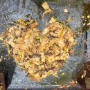 싸다싸아이스크림 | [김해 주촌 맛집] 우삼겹 산더미 이벤트 중! 고기 질 최고인 ‘바른대패’ 내돈내산 솔직 후기 🥓🥗