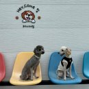 헤이커멍 이미지