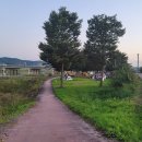 영천강변체육공원주차장 이미지