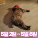크라우드PC 진주경상대점 | 어른이날