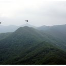 도마령(영) 이미지