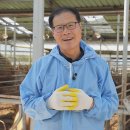 태화농장 이미지