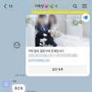 W. 모바일청첩장 셀프 제작 후기 : 퍼스트레터 (두 개가 된 이유), 청첩장 리뷰, 장점 비교!