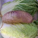 보라2통 이미지