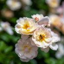 중화역3번출구 이미지