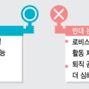 로비스트 - 영광군 신남로 169 | 로비스트