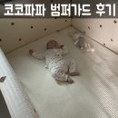 아기 침대 범퍼가드 코코파파범퍼카드 설치후기