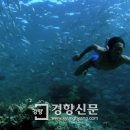 휴먼플래닛 이미지