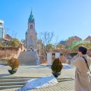 싱글 인 서울 이미지