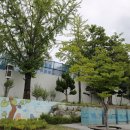 신탄진동 행정복지센터 이미지