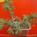 송정하우스 이미지