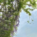 무주그린모텔 이미지