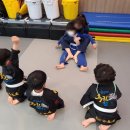 용인대 특전합기도 이미지