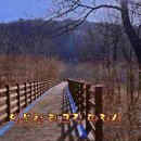 인제03-1 이미지