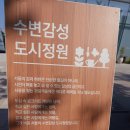 강남둘레길 4코스 [양재천 수변문화쉼터~양재천(북측)~ 탄천~탄천･한강 합수부(여름)] 탐방 후기(2026...