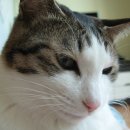 뜰에봄약국 이미지