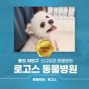 로고스 동물병원 이미지