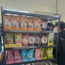 목동종합운동장(10번게이트, 남문) | 2024 K리그2 플레이오프 서울이랜드FC vs 전남드래곤즈 E석 직관 시야