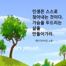 제주 함덕해수욕장 풍경 이미지