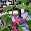 파티타임 이미지