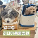 임재성동물의료센터 | 압구정 동물병원 리디아 동물의료센터 후기