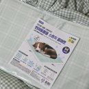 청산힐링샘 | 25년 6월 마지막주 주간일기 (일상의 소중함을 또 느낌)