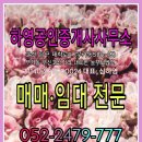 하영공인중개사사무소 이미지