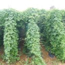 여주-0721 이미지