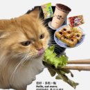 준수시 | Jan 4w. 영원히 안 끝나는 생일