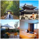 전주 숙소 추천 가성비 전주 신상숙소 이비스 앰배서더 호텔 숙박 후기