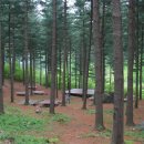 산좋고물좋고 이미지