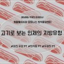 케틀벨 아시아피트니스 반석중앙센터 이미지