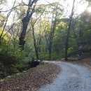 보덕사길 이미지