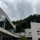카페슈슈 - 남구 동명로157번길 12 | 포항 대형카페 슈슈모아 후기, 유럽 감성 숲 뷰 베이커리 카페